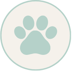 Paw Icon B5D2C9