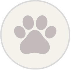 Paw Icon C4Bcbc