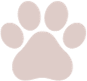 Paw Icon